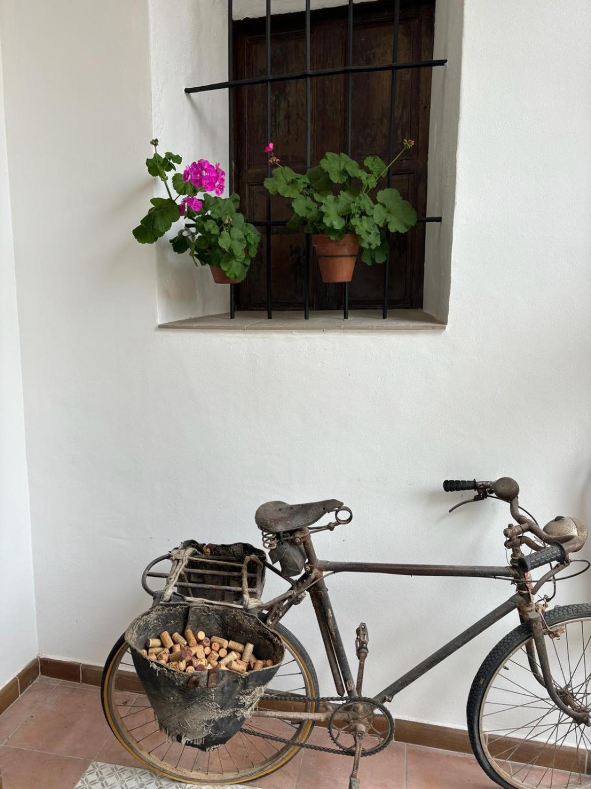Art Boutique La Casona De Las Flores Ondara Bagian luar foto